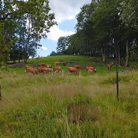 Zimmeruv Statek Mikulášovice Eksteriør bilde