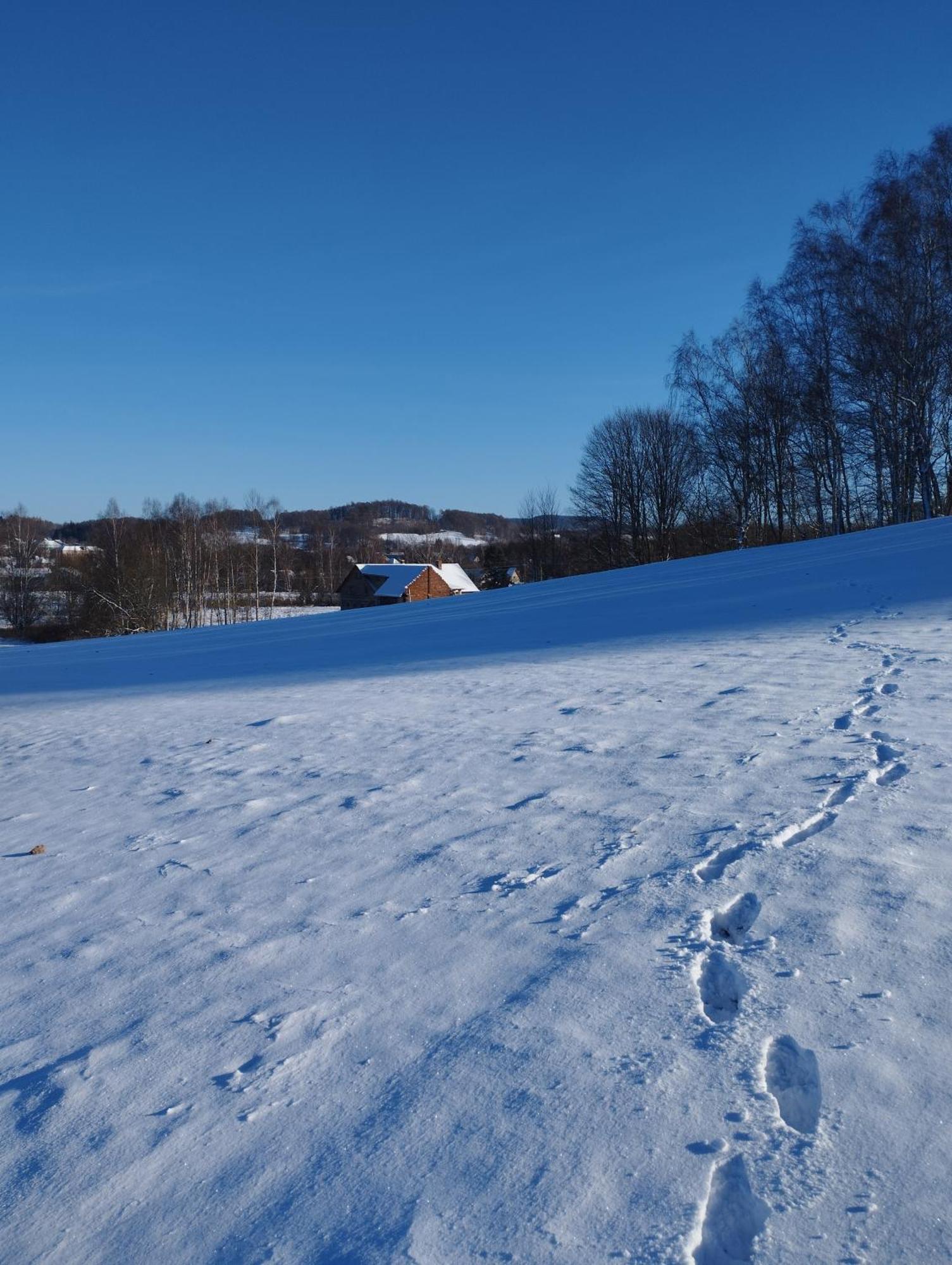Zimmeruv Statek Mikulášovice Eksteriør bilde